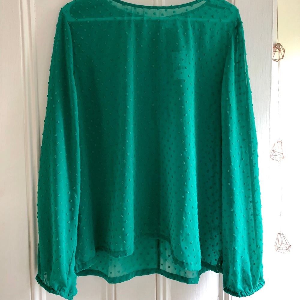 Sheer Blouse